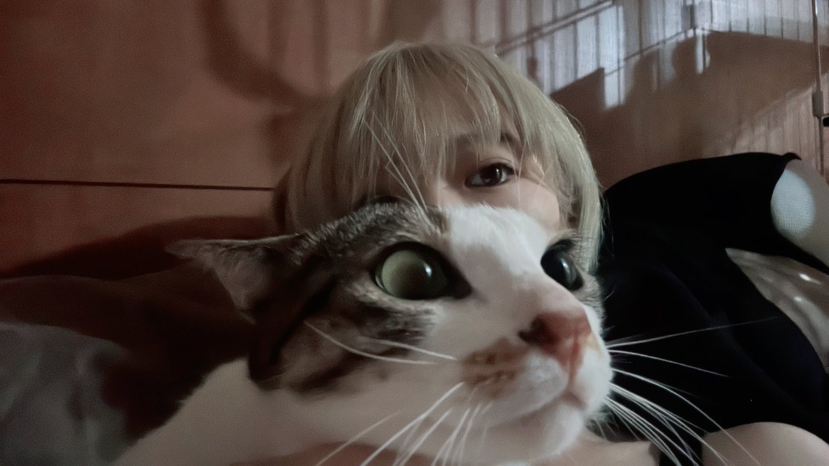 猫の日 ヒト語がわかる天才たまもちゃんです😽