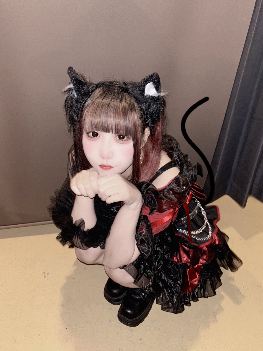 にゃん^ᴗ ̫ ᴗ^ #猫の日