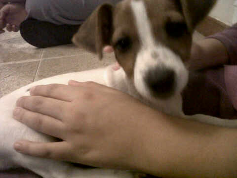 Hoy la extraño tanto que daria la mitad de mi vida por tenerla de nuevo