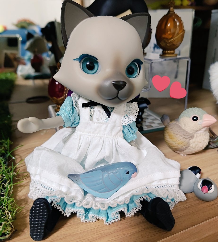 お久しぶりのニッキです😊
#猫の日