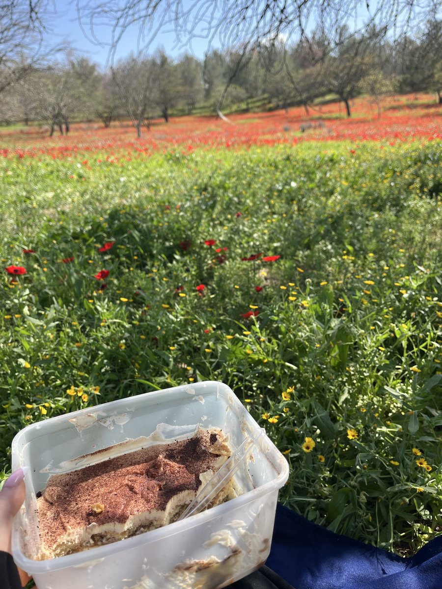yael tweet media