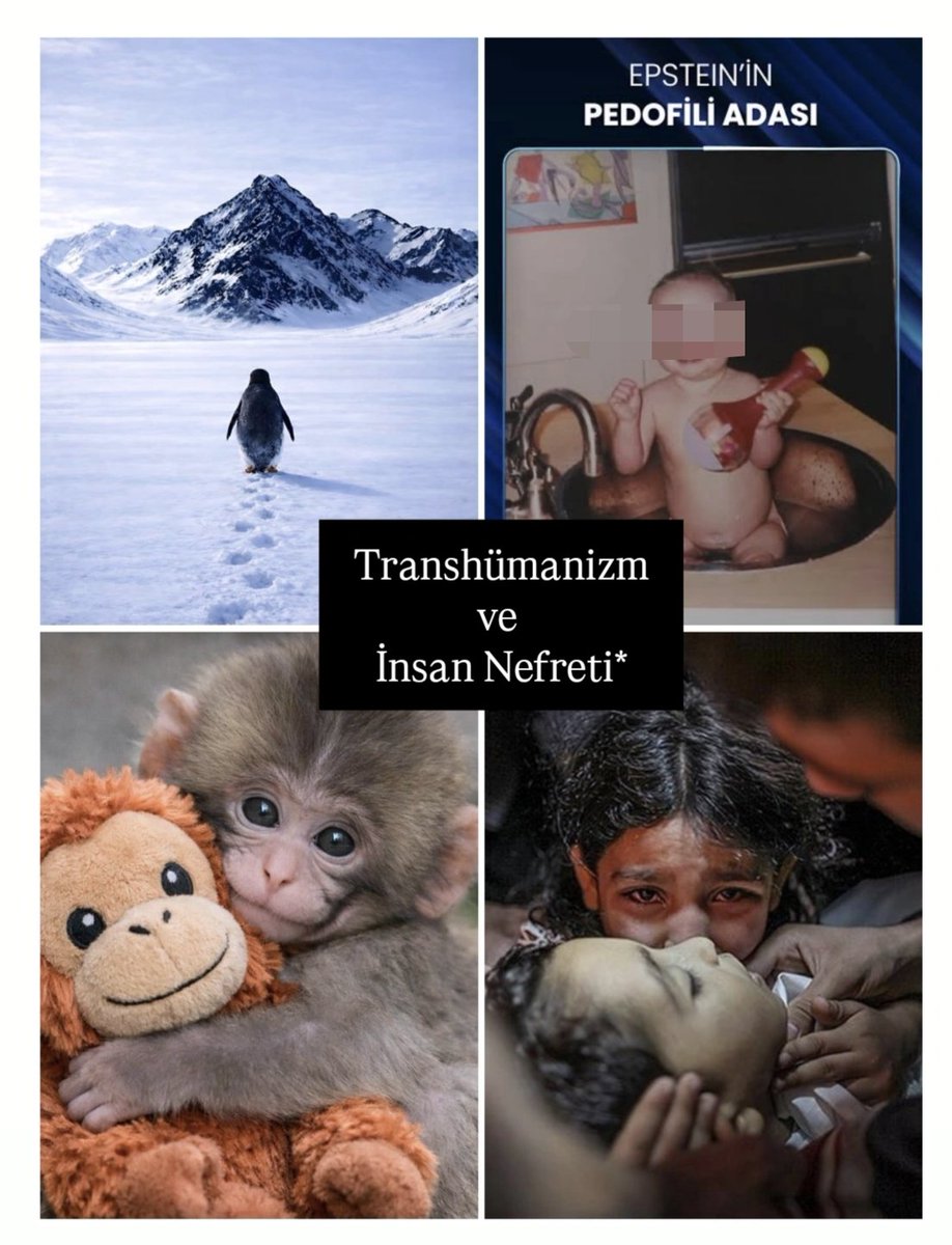 Artık "insan nefreti" var.
Hümanizm öldü. 21. yüzyıl hümanizmin öldüğü yüzyıl öldü. Dikkat edin, çevrenize bakın.

İnsanlar birbirini sevmiyor. İnsan bebeğini, insan çocuğunu bile sevmiyorlar... Patolojik hayvan sevgisi de bu yüzden. Başka bir insana verilemeyen sevginin