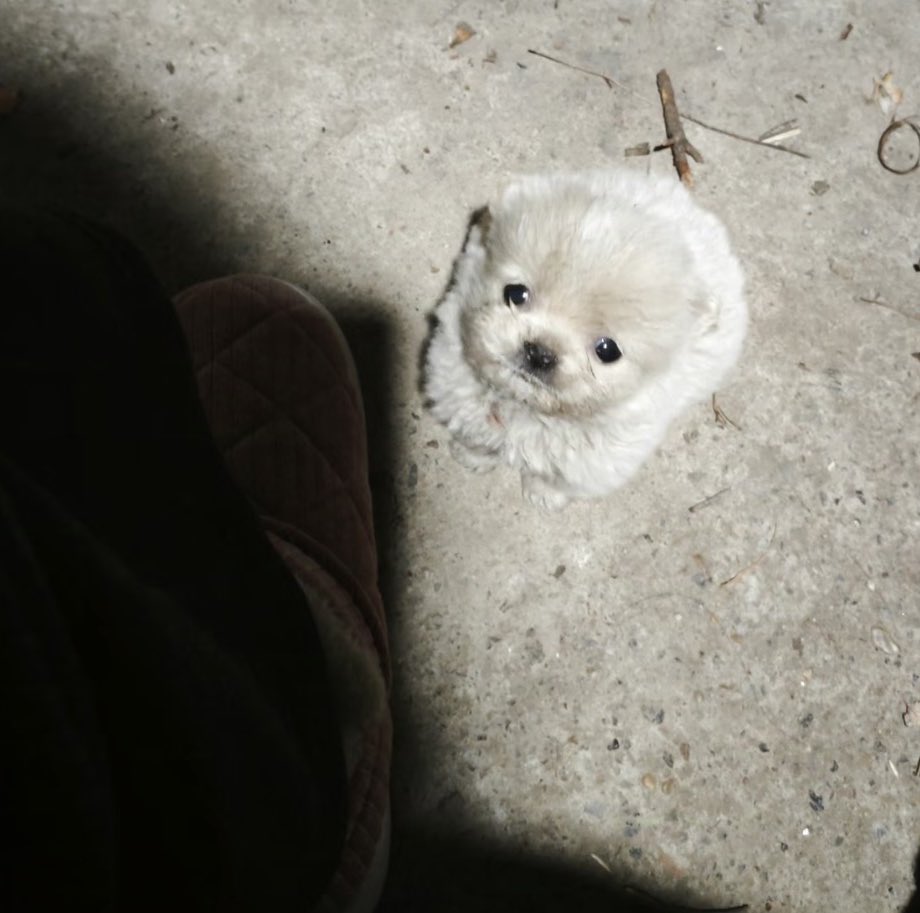 ยังรักอยุไม