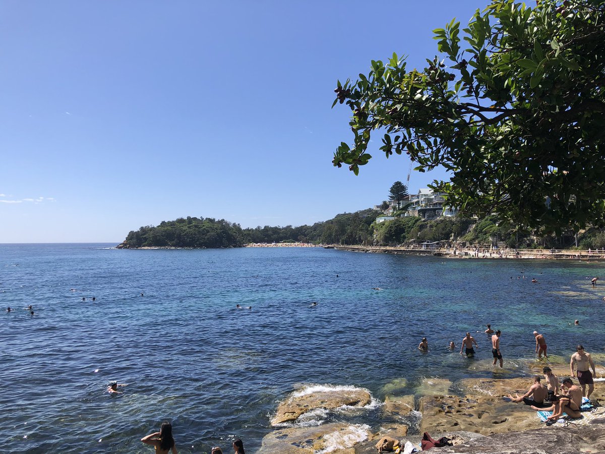 mark obrien tweet media