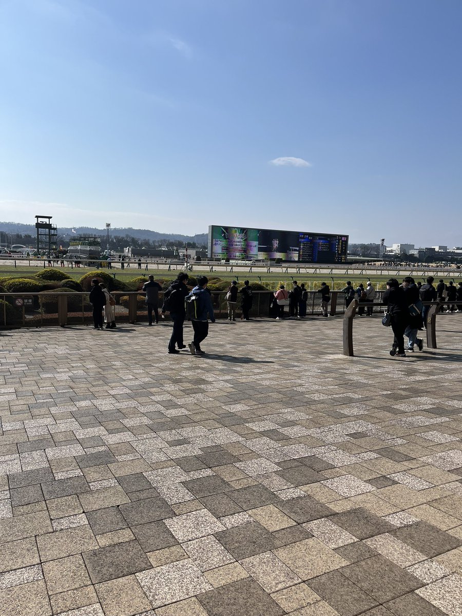 nam1941's tweet photo. 小春日和というより、
初夏でした。

#東京競馬場
#フェブラリーステークス
#ヒモ抜け https://t.co/f5dn07mXdm