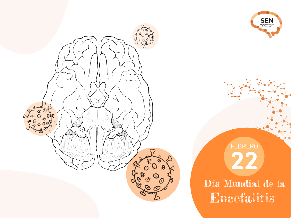Hoy es el Día Mundial contra la #Encefalitis

#Neurología