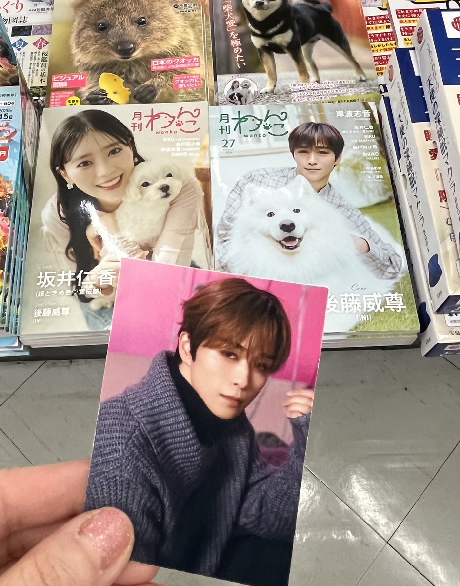 月刊わんこ編集部 (@gekkan_wanko) / Posts / X
