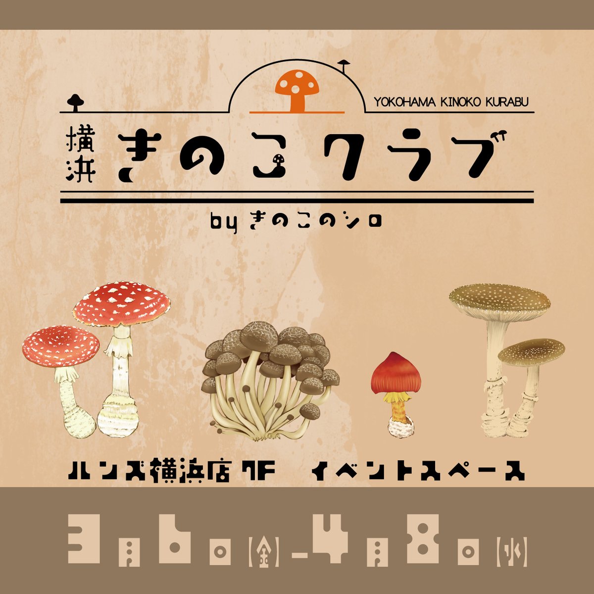 ハンズ横浜がキノコまみれに！ 『横浜きのこクラブ-きのこのシロ