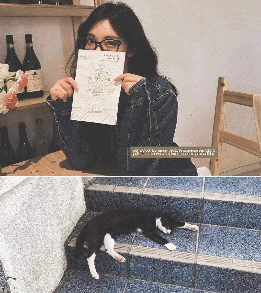 lia dumpling 🥟 tweet media