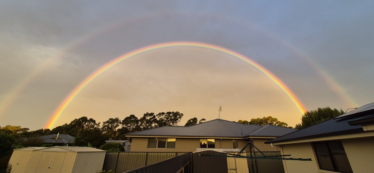 Brad Cole tweet media