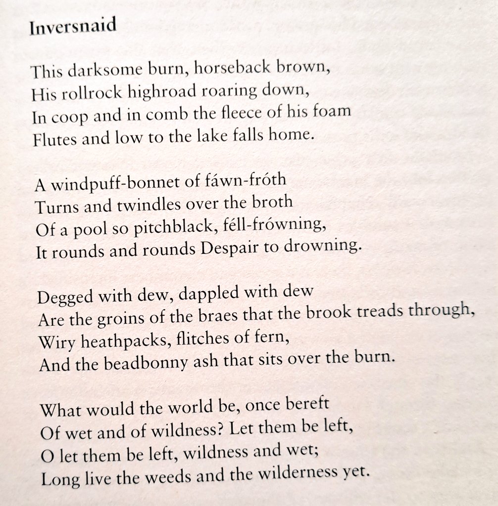 Cian McCarthy tweet media