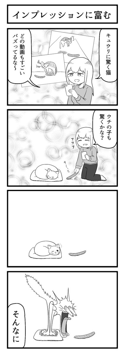 period_apos's tweet image. #ずんどこどっかんぼん　#猫の日