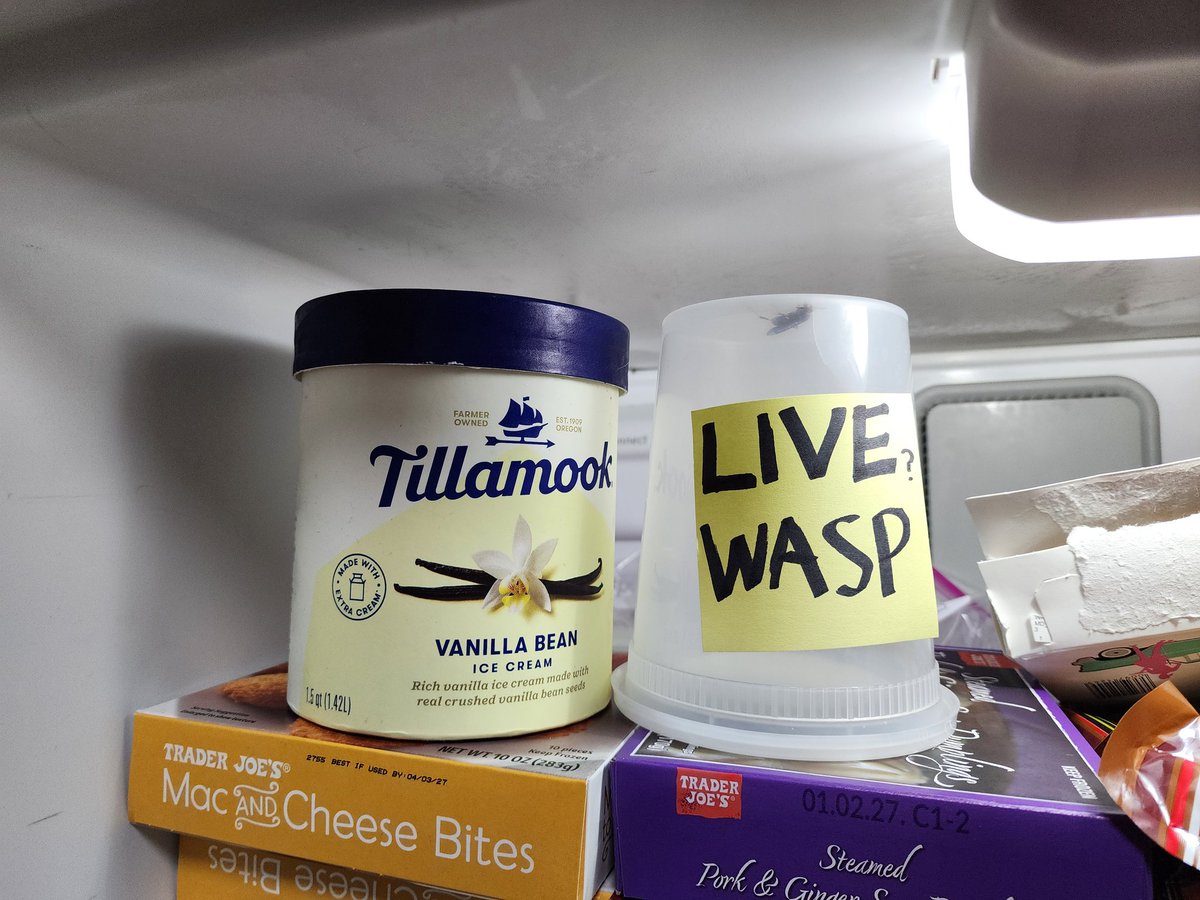 yypuos's tweet image. Guys i cant decide, what should i have for dessert?