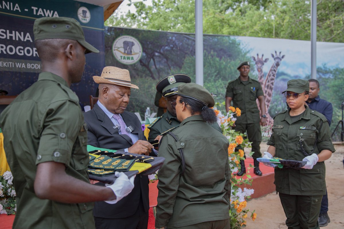 TzTawa's tweet photo. *MEJ. JEN (MST) SEMFUKO AWAVISHA VYEO VYA KIJESHI MAKAMISHNA WA UHIFADHI 13*

Na. Joyce Ndunguru, Morogoro.

Mwenyekiti wa Bodi ya Wakurugenzi ya Mamlaka ya Usimamizi wa Wanyamapori Tanzania (TAWA), Mej.Jen (Mst) Hamis Semfuko amewavisha vyeo vya kijeshi Makamishna wa Uhifadhi (13) katika hafla ya Kijeshi iliyofanyika Februari 21, 2026, katika Ofisi za TAWA Makao Makuu, Mkoani Morogoro.

Akizungumza wakati wa hafla hiyo, Mej.Jen (Mst) Semfuko aliwapongeza Makamishna kwa kuaminiwa na Bodi ya Wakurugenzi na kuteuliwa nafasi hizo katika maeneo mbalimbali ya usimamizi.

“Ninawapongeza Makamishna wote 13 waliotunikiwa na kuvishwa vyeo, ni imani ya Bodi kuwa mnastahili vyeo hivyo, hongereni sana,” alisema Mej.Jen (Mst) Semfuko.

Aidha, pamoja na pongezi hizo, Semfuko aliwaelekeza Makamishna waliovishwa vyeo kwenda kutekeleza maelekezo ya Serikali na maono ya Bodi ya nne ya Wakurugenzi ya TAWA ya kuhakikisha TAWA inapaa katika viwango vyote vya utendaji kazi ikiwemo; ushirikishaji wa jamii, usimamizi wa kazi za uhifadhi, kuendeleza Utalii, kuongeza uwekezaji na ukusanyaji wa mapato. 

“Tunataka tuone TAWA inapaa juu zaidi na nyinyi ndio moja ya vichocheo vya kufanya hivyo,” alisema Semfuko.

Kadhalika, Mej.Jen (Mst) Semfuko aliwataka Makamishna wa uhifadhi kwenda kufanya kazi kwa kushirikiana na Maafisa na Askari walio chini yao kwa kuzingatia miongozo iliyopo huku wakizingatia ubunifu, weledi, sheria na utu.

Makamishna wa Uhifadhi waliovishwa vyeo ni pamoja na Makamishna Wasaidizi Waandamizi (7) ambao ni Privatus Kasisi, Wilbright Munuo, Khadija Malongo, Mark Chuwa, Vicky Kamata, Omary Msangi na Orest Njau. 

Pia, Makamishna Wasaidizi (6) ambao ni Alphonce Mung’ong’o, Jackson  Msaki, Suleiman Keraryo, Jovine Nachihangu, George  Makheya na Rajabu Hochi.