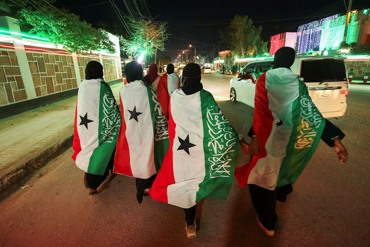 clashreport's tweet image. Somaliland has offered the United States exclusive access to its minerals and the possibility of establishing U.S. military bases on its territory. 

Source: AFP