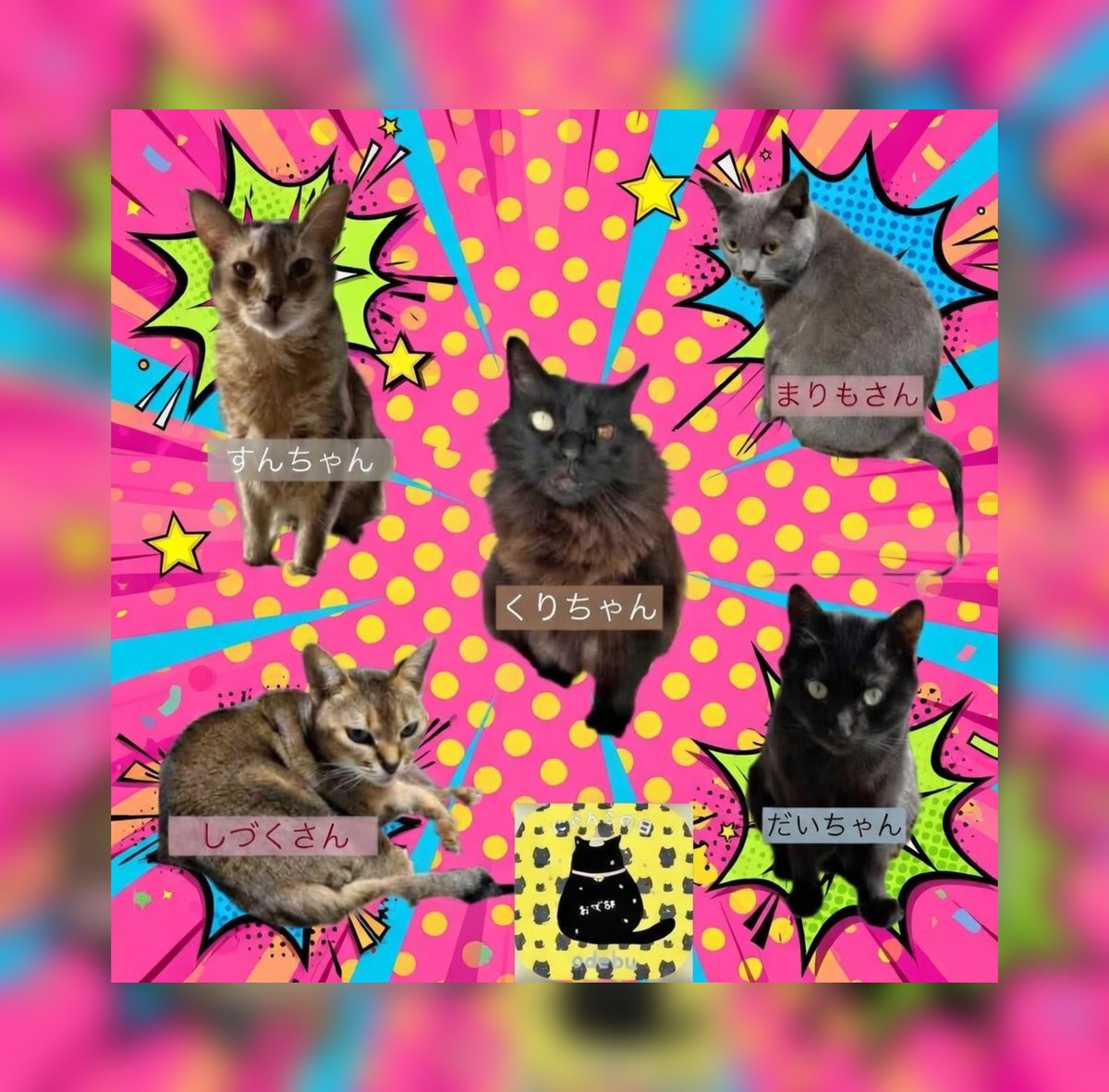 うちの子達も参加させて頂きました

“あの子がいた🐱”“この子も😺”って
見ているだけで楽しいにゃん🐾

良かったら見てみてね〜💕

ちょぴっと派手なのがうちのニャンズ🥳

#おで部のニャンと猫の日