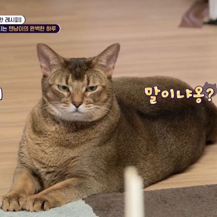 ลูกคนดังมีแต่ตุวอ้วมอ้วม