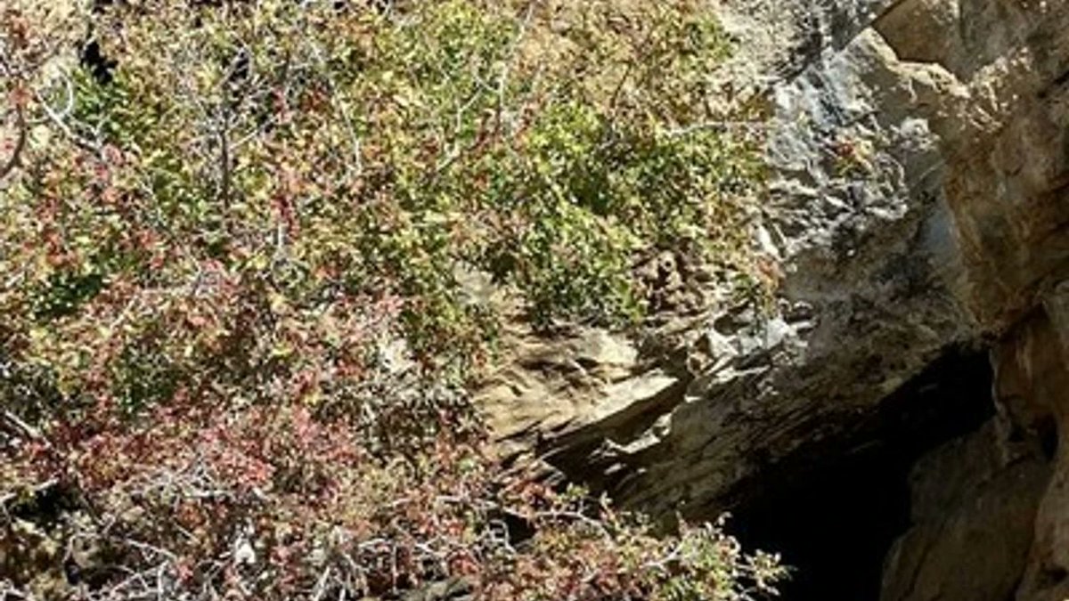 EgeTelgraf's tweet image. İzmir’de mağara araştırması sırasında çukura düştü: Kurtarma çalışmaları sürüyor
#izmir #arama #kurtarma #afad #selcuk #kaza 

egetelgraf.com/izmirde-magara…