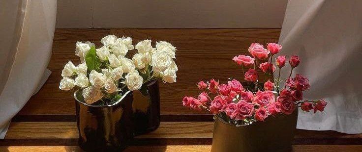 टूटे हुए दिलों की एक ही पनाहगाह है, और वो है रब का दर 🥹❤️‍🩹