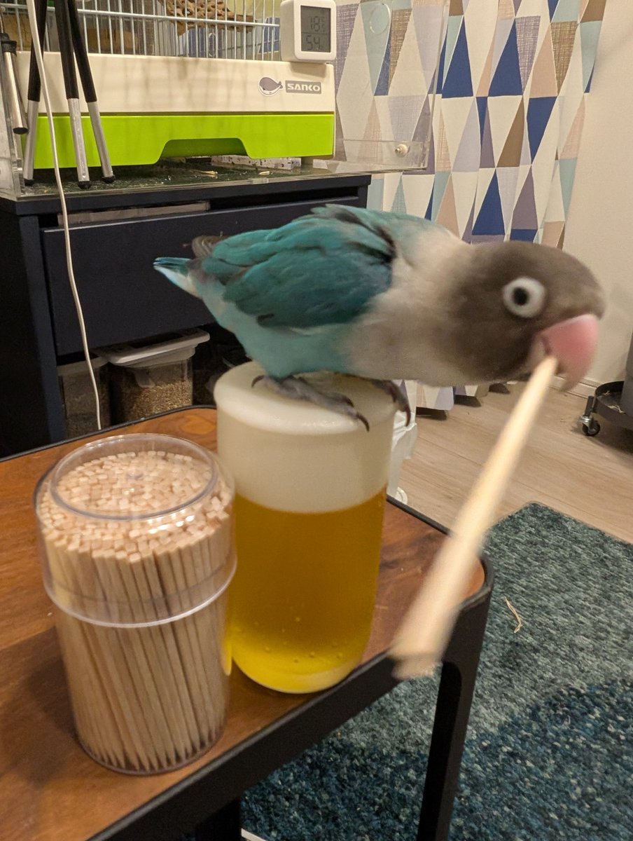 buron891's tweet photo. なんか酔っぱらいっぽい写真が撮れたw
※食品サンプルです https://t.co/zs4UG0gmi8