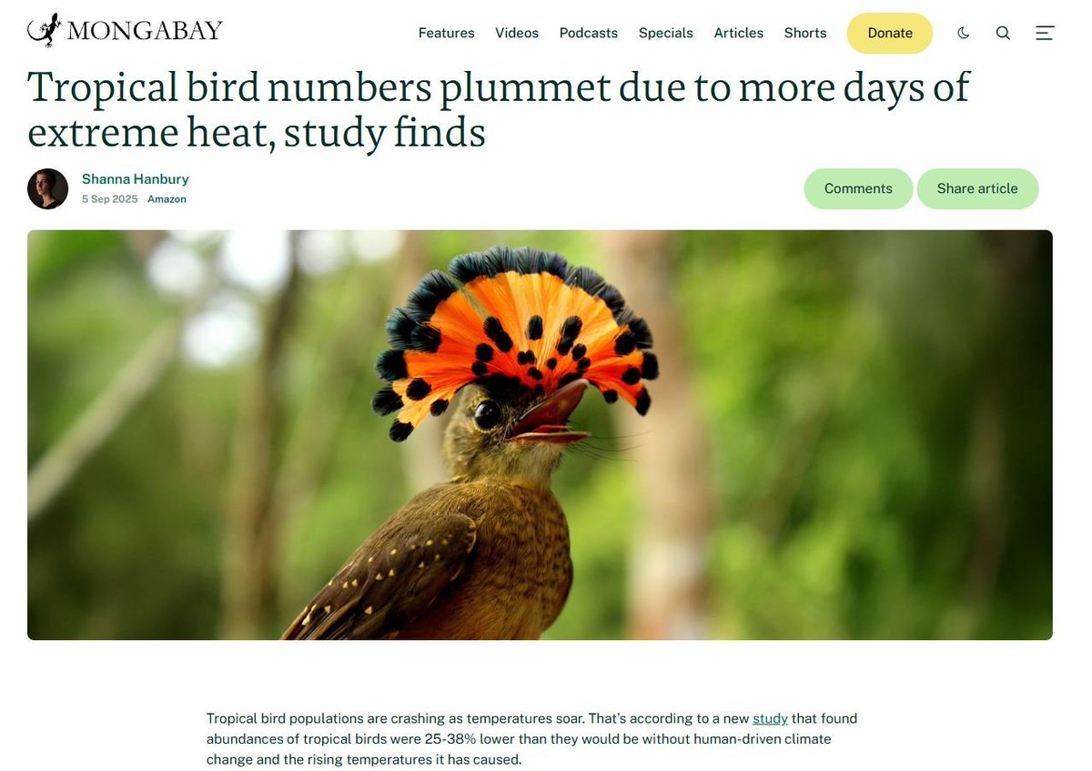 Theodota Nantsou tweet media