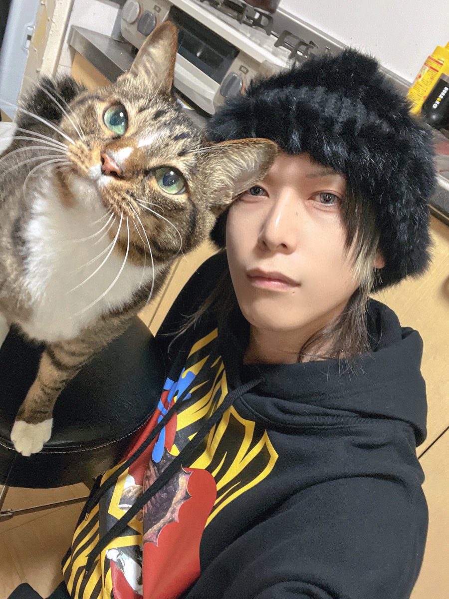 今日は2月22日、猫の日🐈🐈‍⬛🐈🐈‍⬛✨ 全世界の猫ちゃん達が平和で