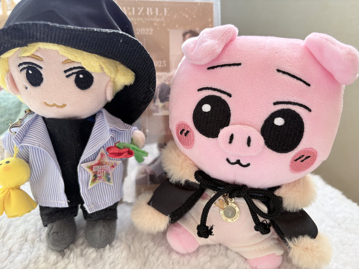 初めての北ちゃんとのオントー 猫の日🐱 北ちゃんの日🐷 2026.2.22