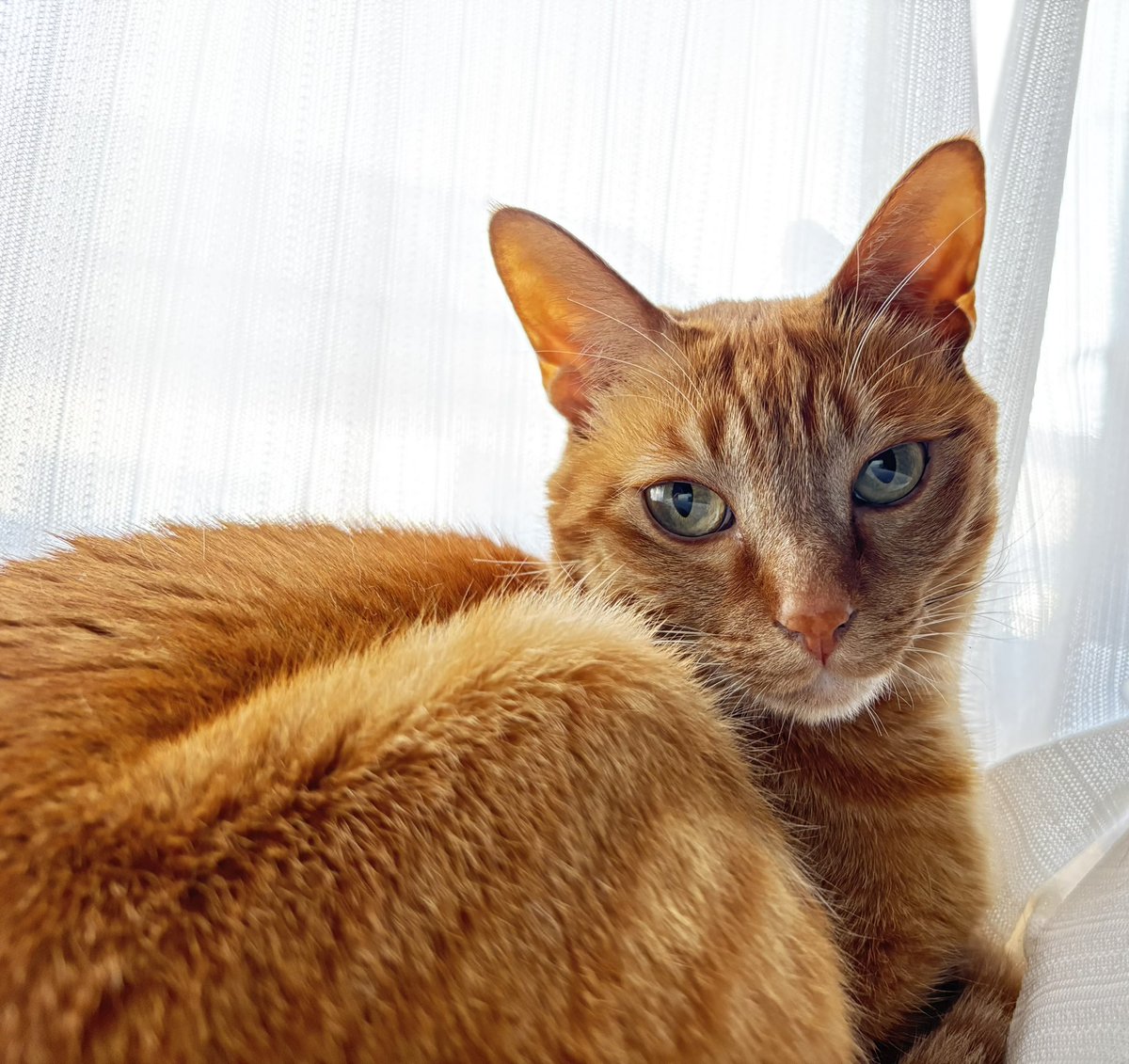 くつろいでいるところ失礼しました📷✨