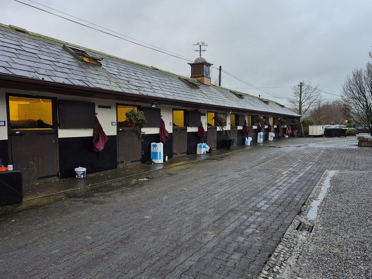 Road To Cheltenham tweet media