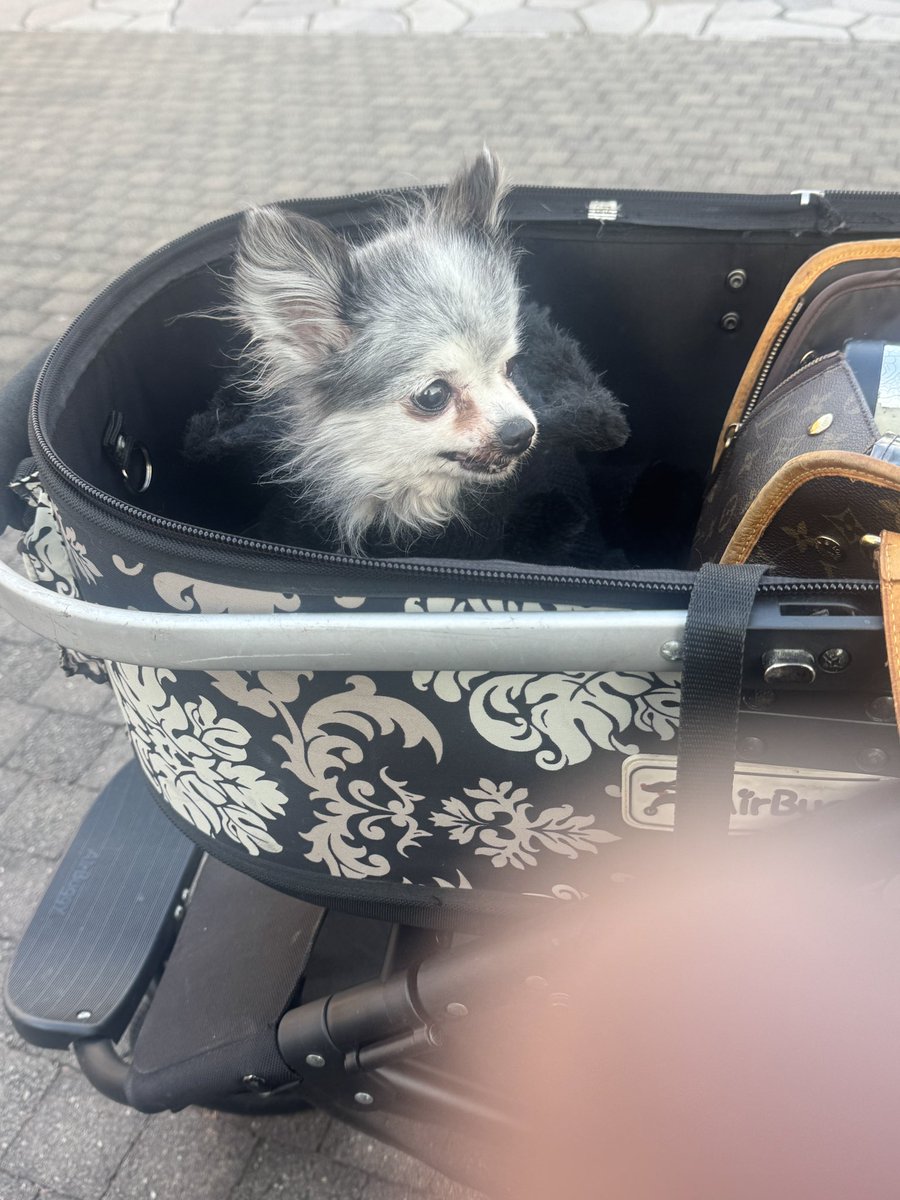 KAISER 〜皇帝 mini4wd (@idaten_no1) / Posts / X