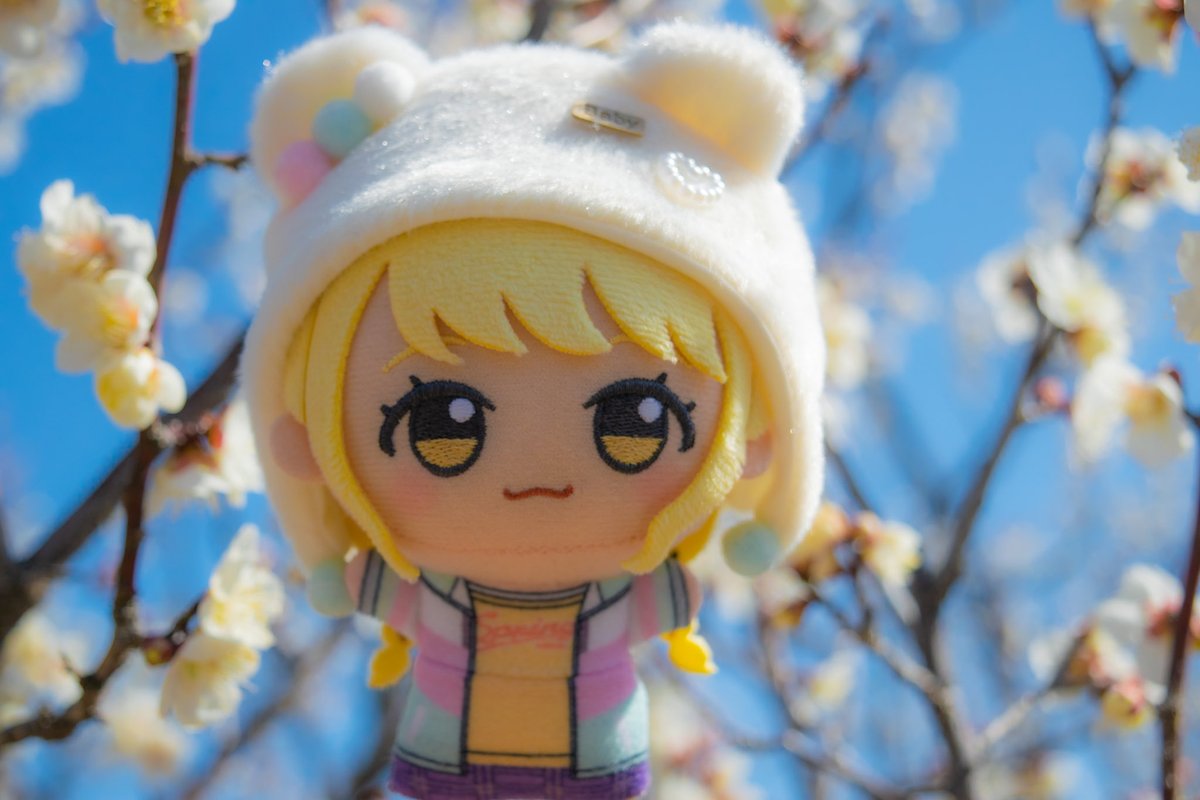 Aba_nui's tweet image. 