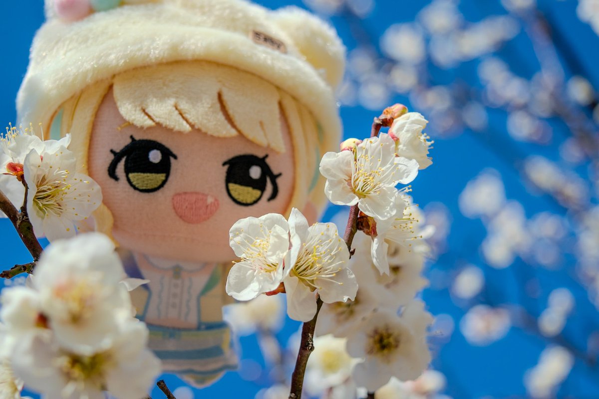 Aba_nui's tweet image. 