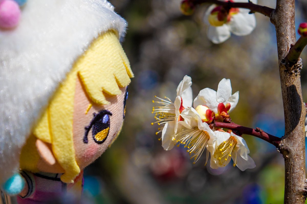 Aba_nui's tweet image. 