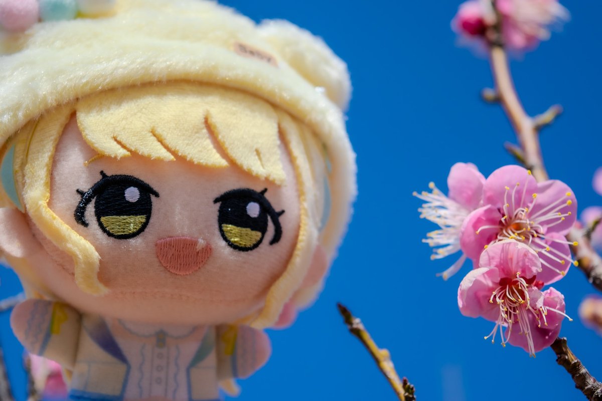 Aba_nui's tweet image. 