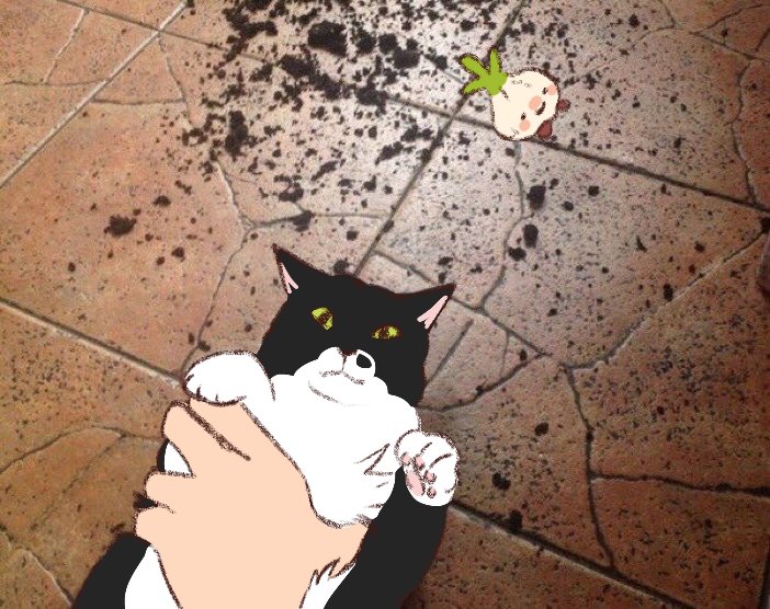 WHISKERS NO YOU GIVE THAT BACK TO HIM