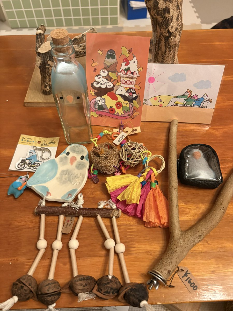 鳥フェス京都購入品です🫶