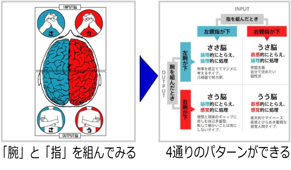kabu_st0ck's tweet photo. 多分トレーダータイプの方総じて「さう脳」なんじゃないかと思っているのですが皆様いかがでしょうか。
ファンダの方は「ささ脳」か「うさ脳」の方が多いイメージ。

論理vs感覚-うう脳、うさ脳、ささ脳、さう脳の違いとは？
https://t.co/xAZUXXviiw https://t.co/ykvjXCJ6nn