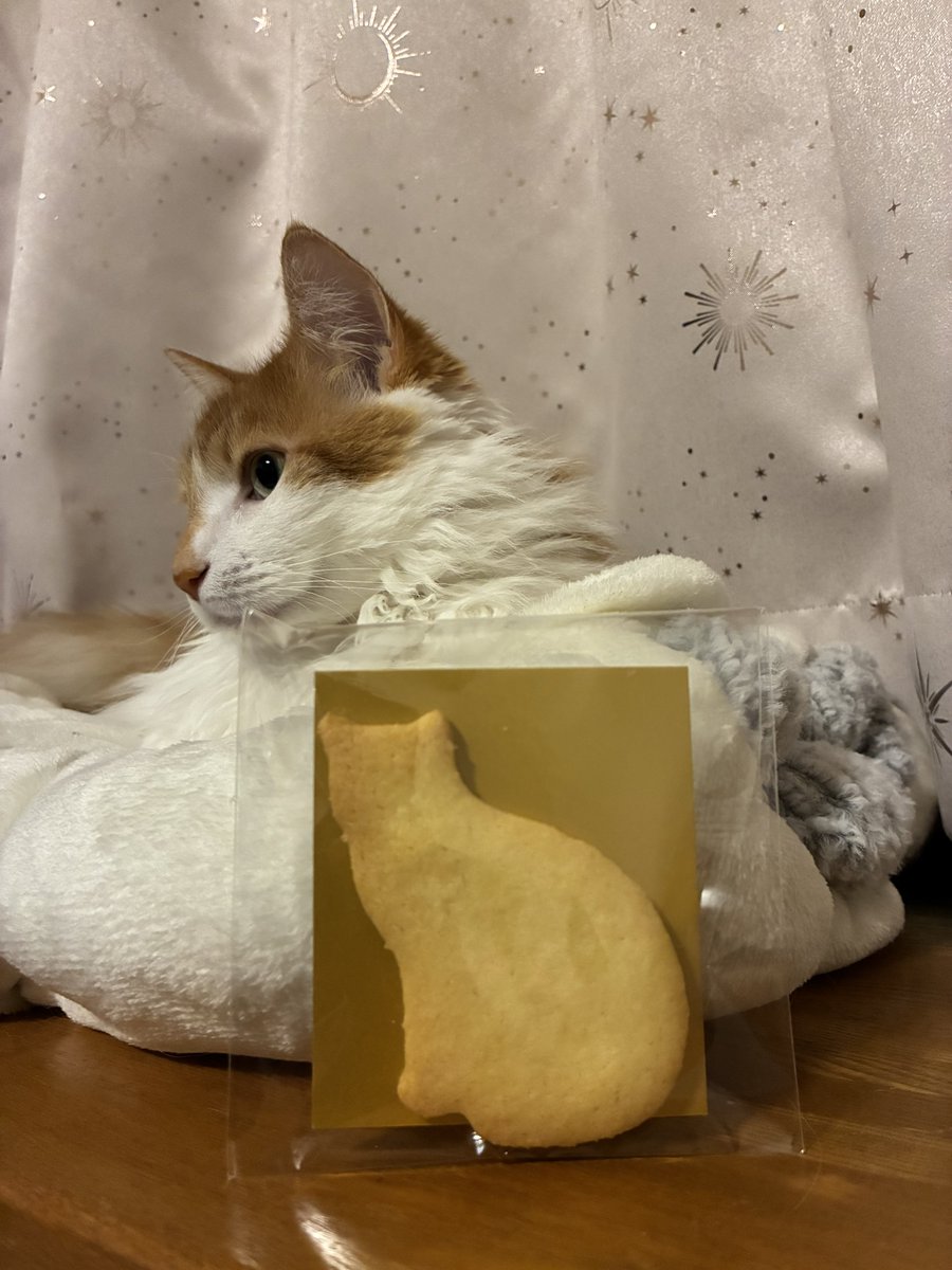 猫の日イベントを開催している
パティスリー
Addict au Sucreさん
美味しいケーキや、
可愛いネコの絵のクッキー缶があります🐈✨

マロンの写真も飾っていただき、
ネコクッキーも参加賞で頂きました😋

#猫の日
#マロン先生