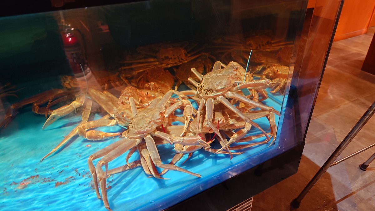 Post by シケ on X: 蟹