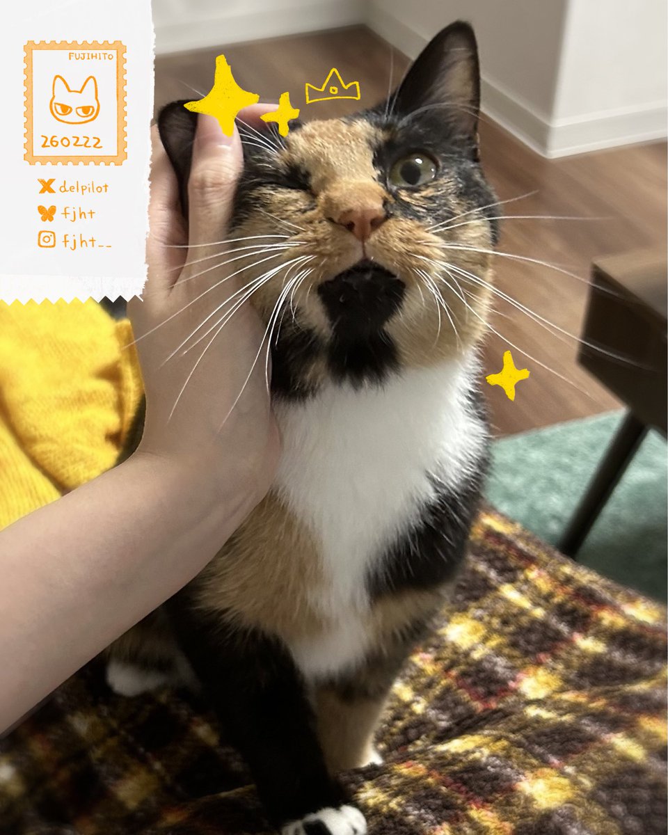 かんな@⛰🦌⛰ (@kanna03) / Posts / X