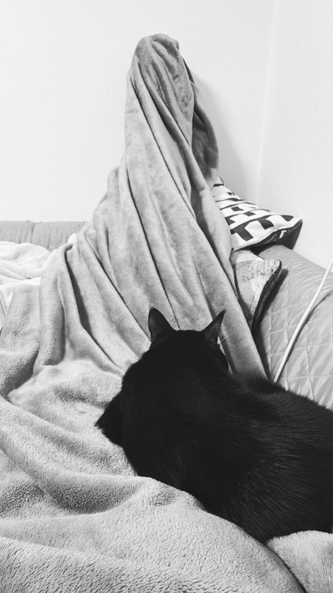 近井 沙妃 tweet media