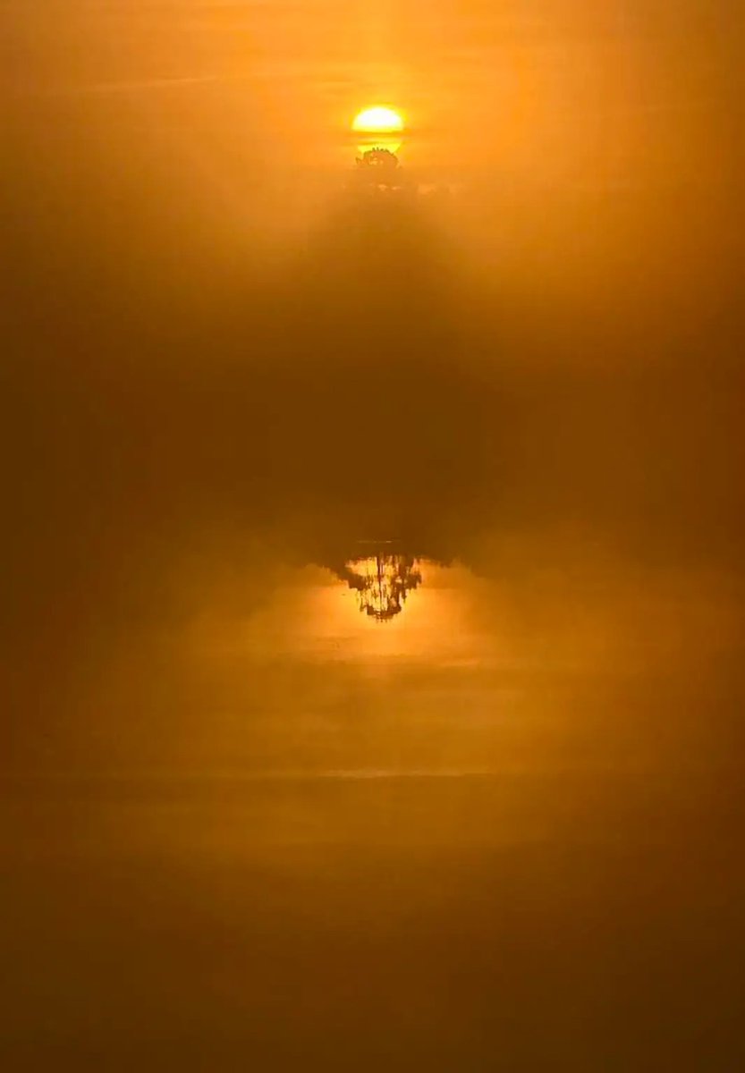 SoleilLibreFR's tweet image. Hier 18°C. Ce matin, gelées matinales et paysages apocalyptiques.

Sur Facebook, photos magnifiques, les gens sont émerveillés : likes, cœurs à gogo. Comentaire: Enfin de Soleil. 
Et personne ne se pose la question.

Personne.

#Climat #GéoIngénierie #Réveil #Gel #Dérèglement