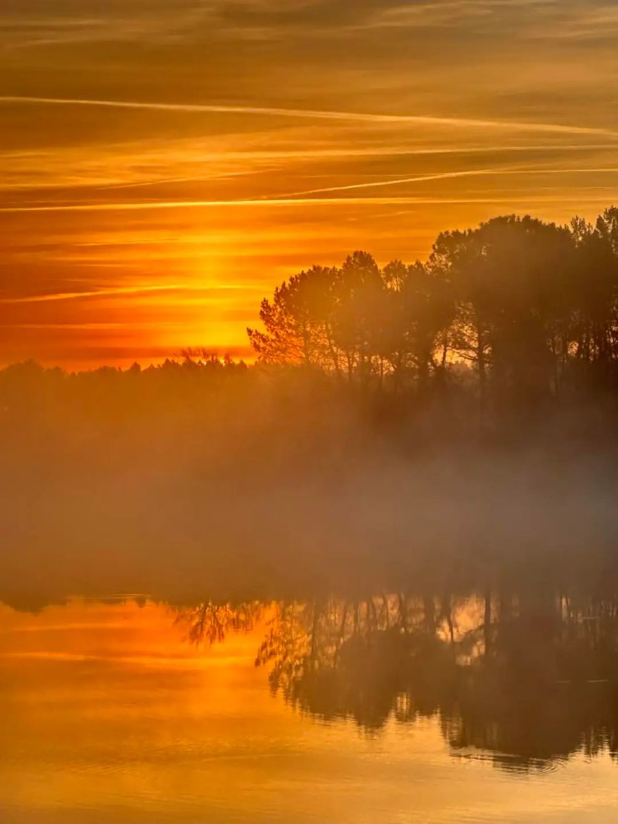 SoleilLibreFR's tweet image. Hier 18°C. Ce matin, gelées matinales et paysages apocalyptiques.

Sur Facebook, photos magnifiques, les gens sont émerveillés : likes, cœurs à gogo. Comentaire: Enfin de Soleil. 
Et personne ne se pose la question.

Personne.

#Climat #GéoIngénierie #Réveil #Gel #Dérèglement