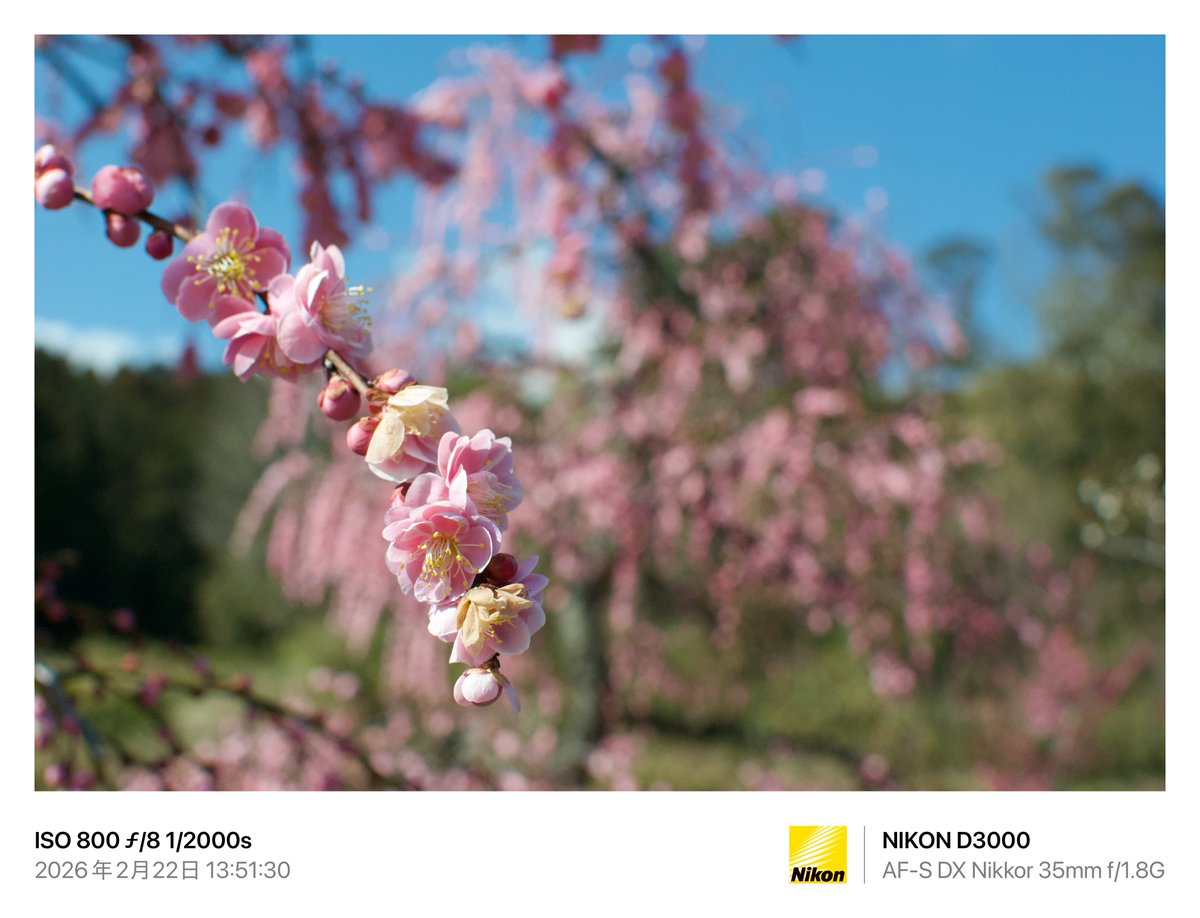 あ、あと1つカメラ持って行こ。 ってカメラが良い仕事をしてくれた日