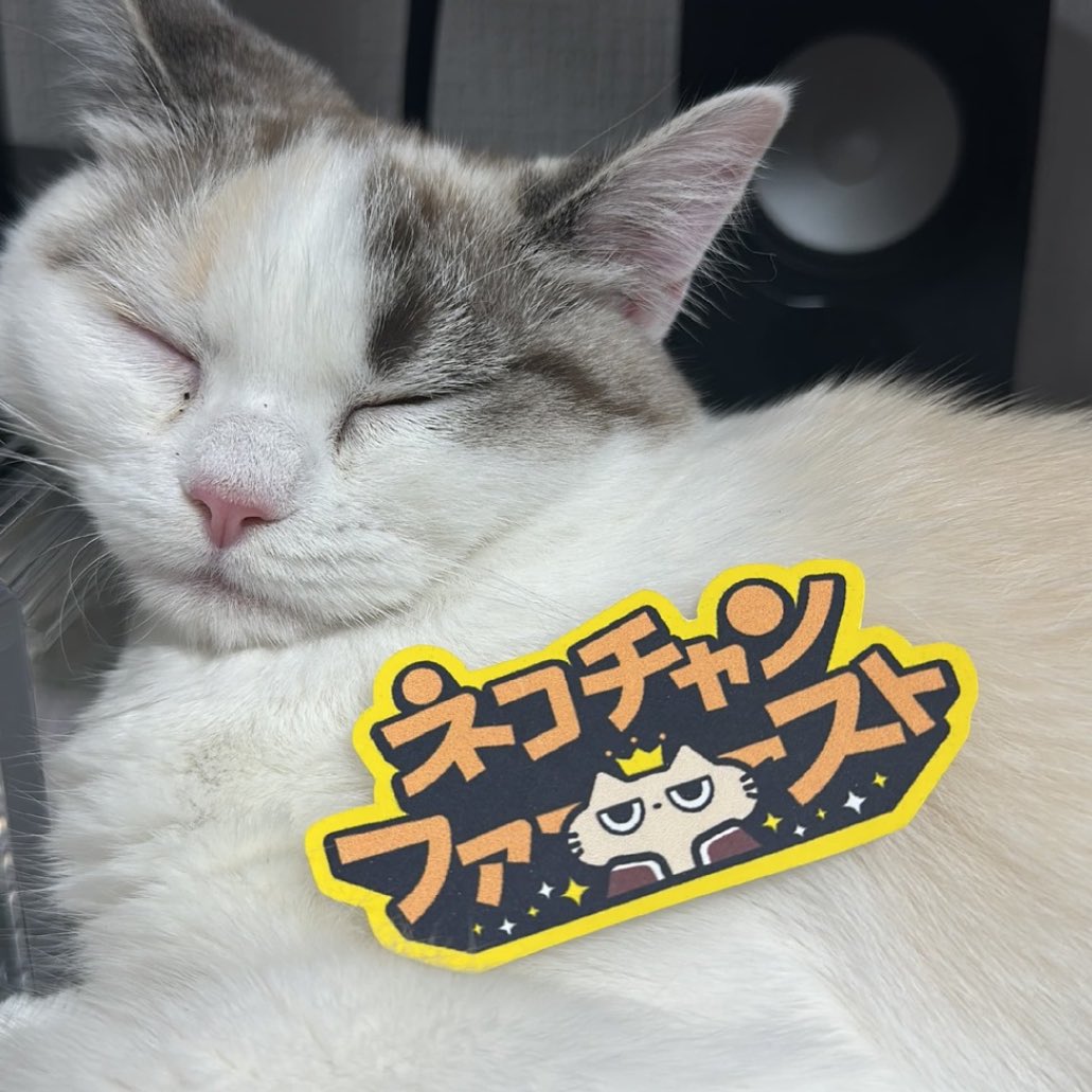 そうねこ❁⃘ページ Amazon.co.jp: Nekozo's First Photo Album 'CAT