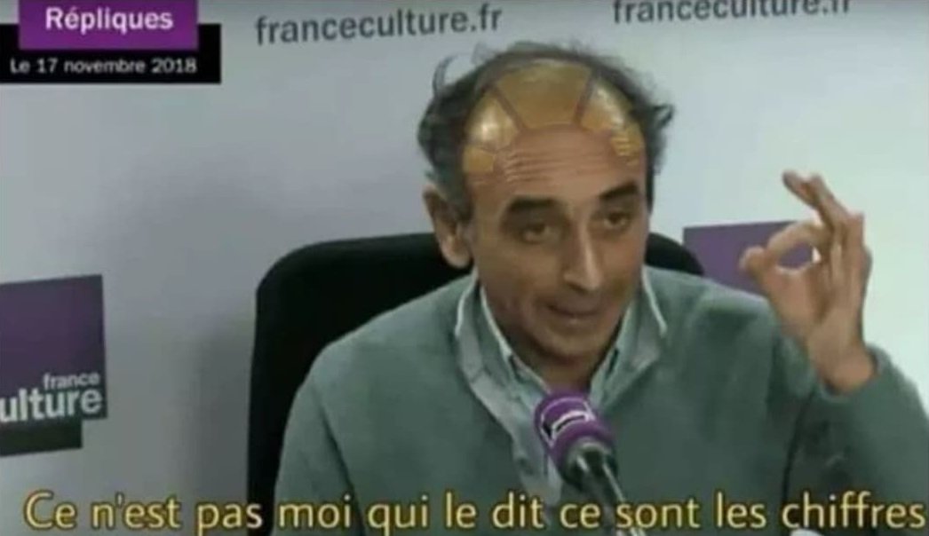 Elle croit qu'elle a dead ça , alors qu'elle prouve juste que les soit disant Nazis sont calmes et respectueux, contrairement à la gauche