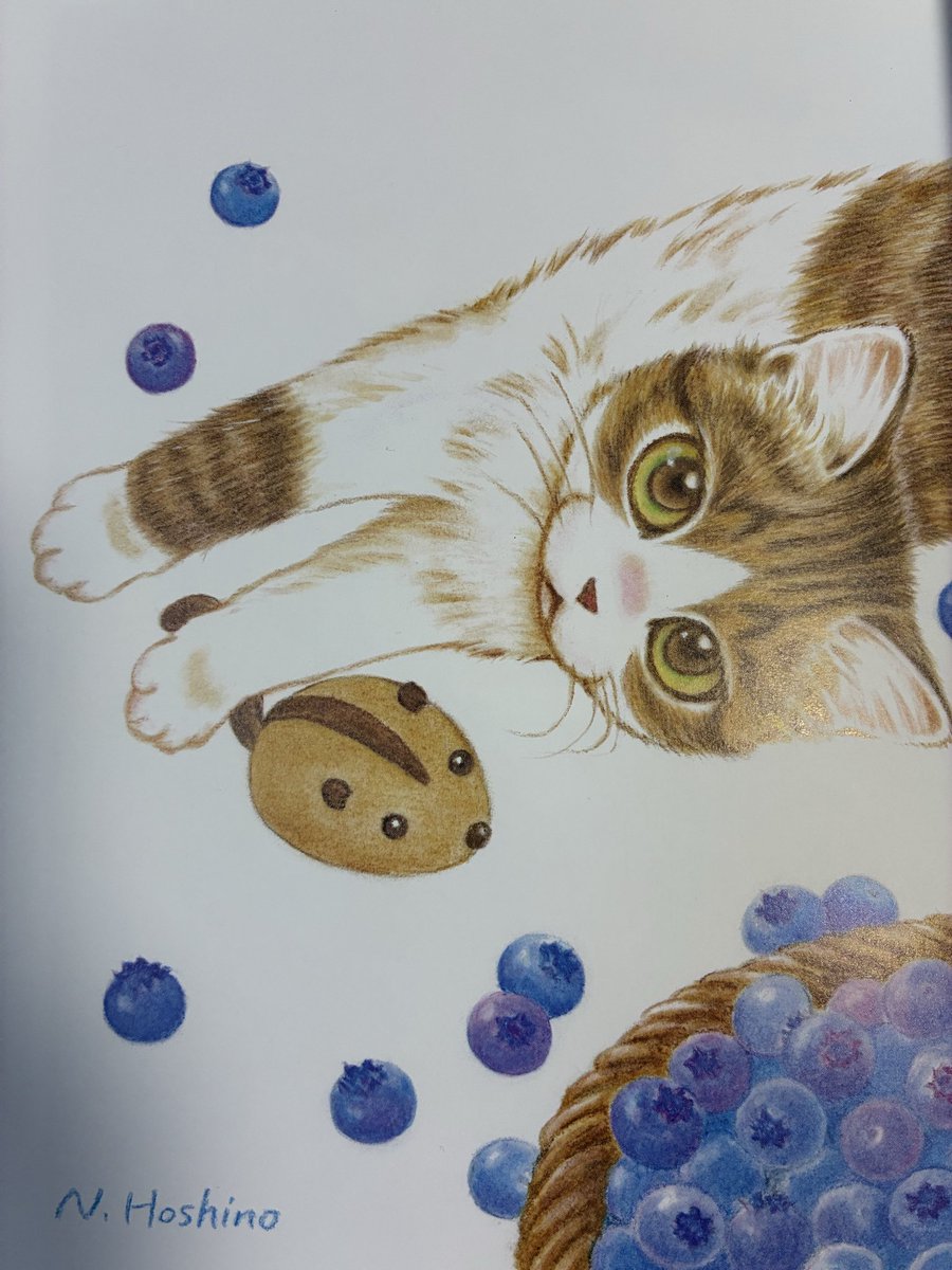 ほしのなつみ「キジトラ猫の小梅さん」27巻発売中 (@kijitorashippo2