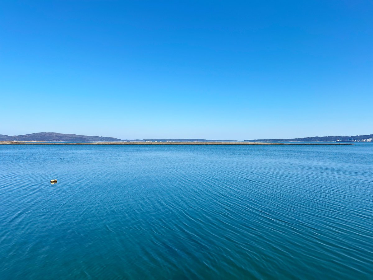 ここね tweet media