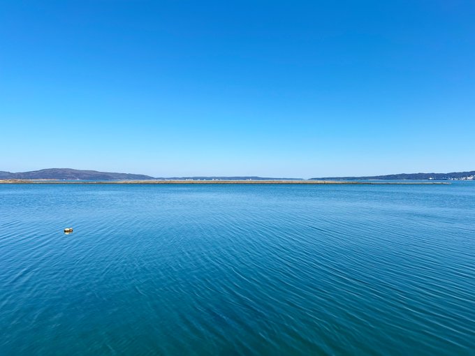 コスプレイヤーここねのTwitter画像41