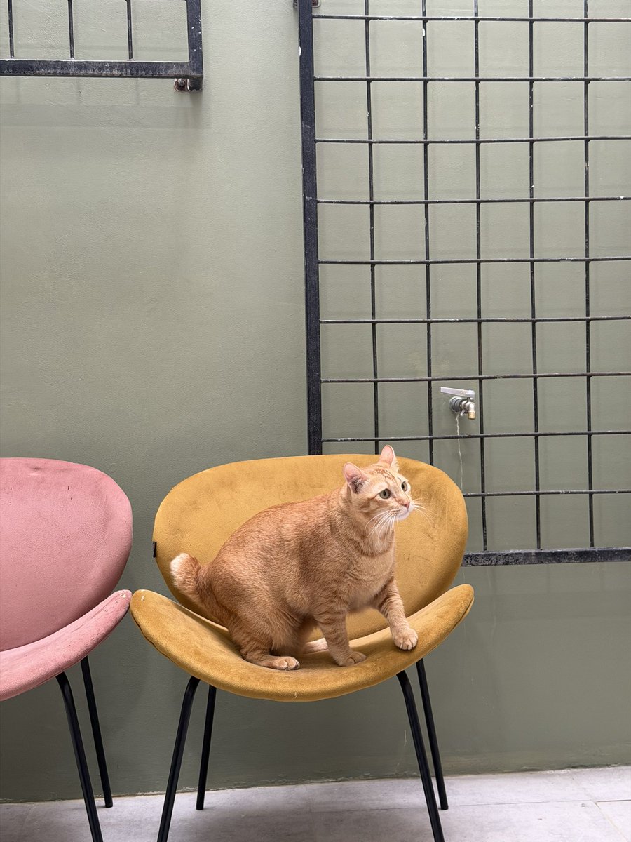 mau aku spill skincare ku gak?